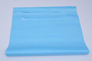 What is a disposable bib