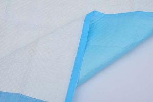 Care-De Disposable Absorbent Underpads