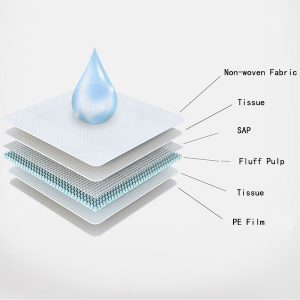 Details of Training Pads