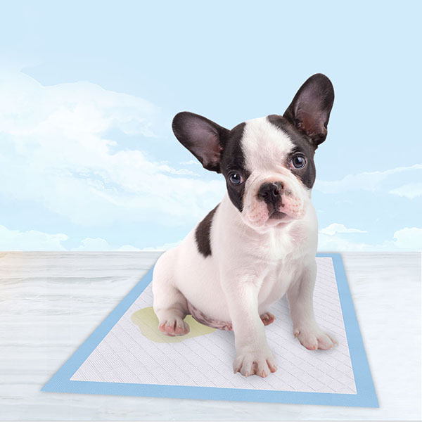 Dog training pads wholesale clearance